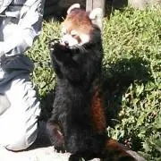 ゆうたろう