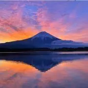 チキンの画像