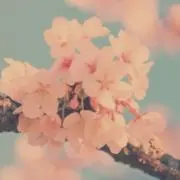 SKの画像
