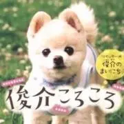 shunkoro☆