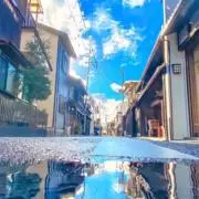 Samsonnemo