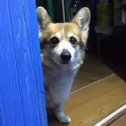 ちぃ♡の画像