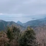 taroの画像