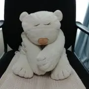 しろくま長男の画像