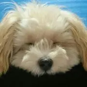 みっちい プロフご一読ください(^-^)
