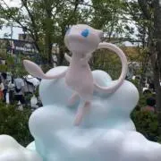 も
