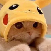 るん