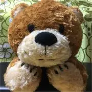 もやしいための画像