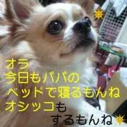 ヨロスケの画像