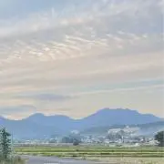 d.の画像