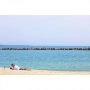 Shoの画像