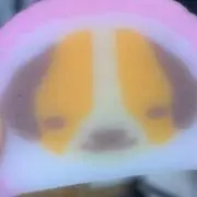 siiiiiiの画像