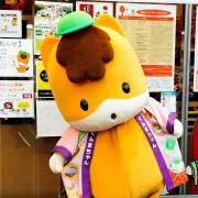 ねこぜの画像
