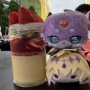 ちどりの画像