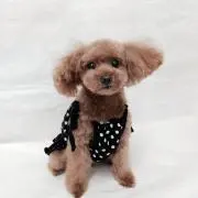 まさ
