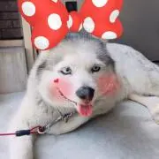 m☺︎