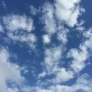 なかじの画像