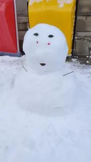 ひめこママの画像