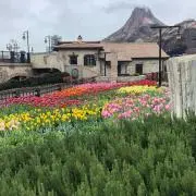 かか6の画像
