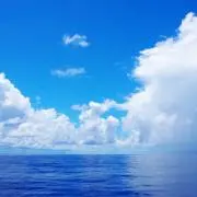 海【順次発送】※プロフ必読の画像