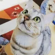 ｍｉｏ