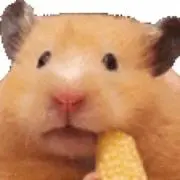 kakooの画像