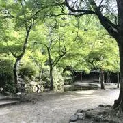 Yo4robinsonの画像
