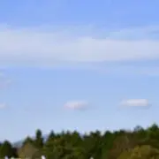 Hの画像