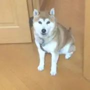 まっきー