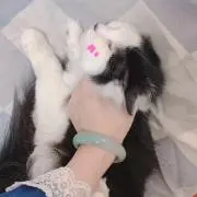 3.28～4.4出張で受取確認不可