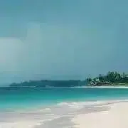 星夢の画像