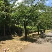 マルリー