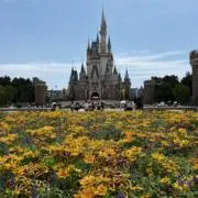 みみの画像