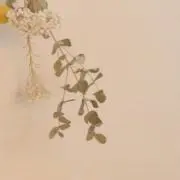 ree☺︎…積極的値下げ中…の画像