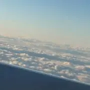 ちゃの画像