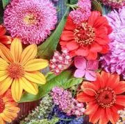 ♡おまとめ割OK・平日発送♡の画像