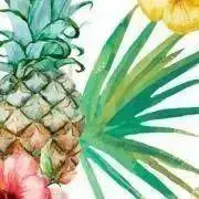 プロフィール必読☆の画像