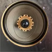 ziziの画像