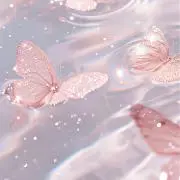 ちゃるの画像
