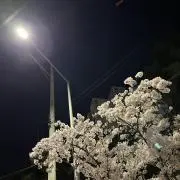 aの画像