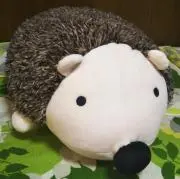 はりーの画像