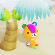 春夏の画像