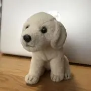 パピーマックの画像