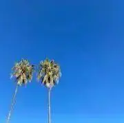 nasedoの画像