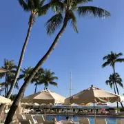 AULANI‪❤️23時以降コメント❌の画像