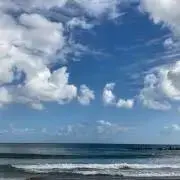 ちょこ2413の画像