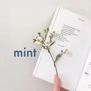 mint