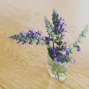 pana☆即購入OKです☆の画像