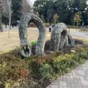 はち