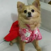 みっち プロフ見て下さい(^^)の画像